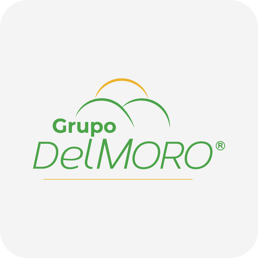 Grupo DelMoro